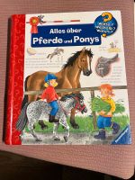 Buch Alles über Pferde und Ponys Wieso? Weshalb? Warum? Niedersachsen - Kissenbrück Vorschau