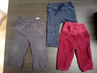 Gefütterte Hosen warm 74 80 S.Oliver Topomini Mädchen Junge Nordrhein-Westfalen - Brakel Vorschau