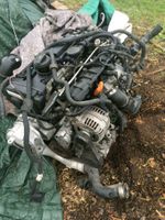 Motor Audi A3 VW GOLF GTI AXX BWA 2,0 TFSI 200PS Komplett Rheinland-Pfalz - Waldalgesheim Vorschau