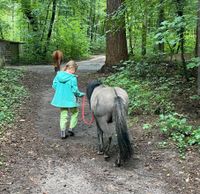 Suche Pony zum gelegentlichen spazieren gehen Bayern - Buchenberg Vorschau