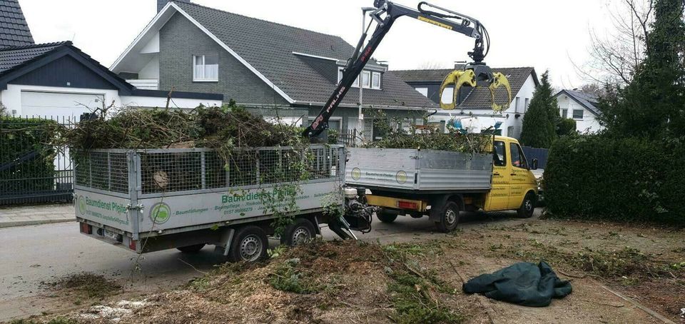 Sturmschaden Baumfäller Wurzelentfernung Baum Garten Unwetter in Mülheim (Ruhr)