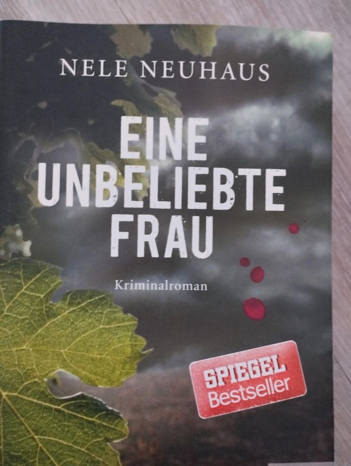 Krimi* Thriller*bücher eine unbeliebte Frau*Netzkiller in Eckersdorf