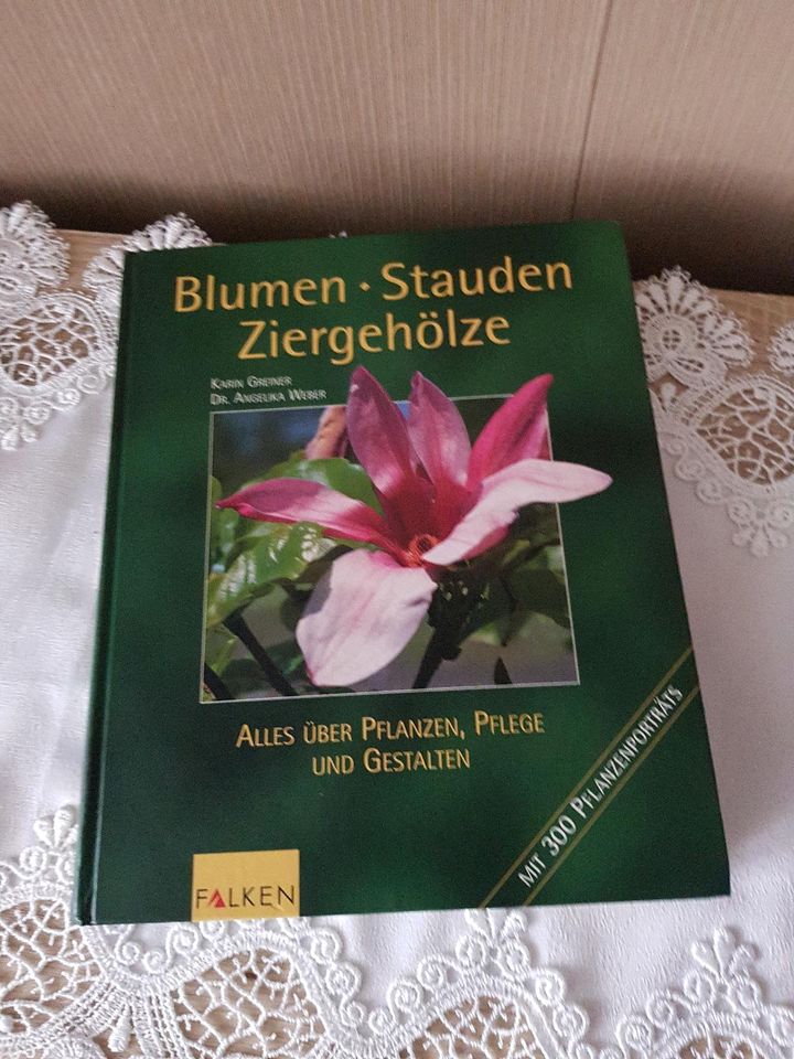 Buch Blumen, Stauden, Ziergehölze in Schwedt (Oder)