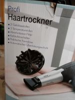 Profi Haartrockner 2200 W Baden-Württemberg - Hessigheim Vorschau