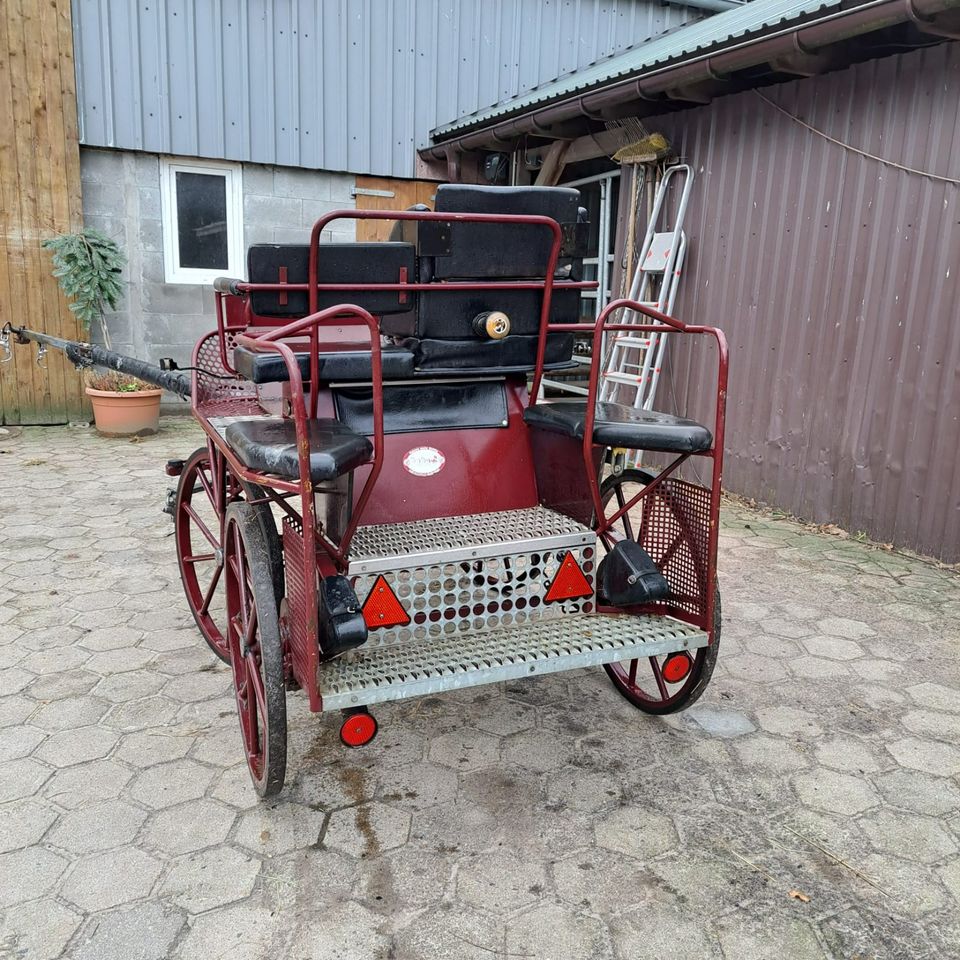 Kühnle Marathonwagen / Kutsche / Trainingswagen in Horst (Holstein)