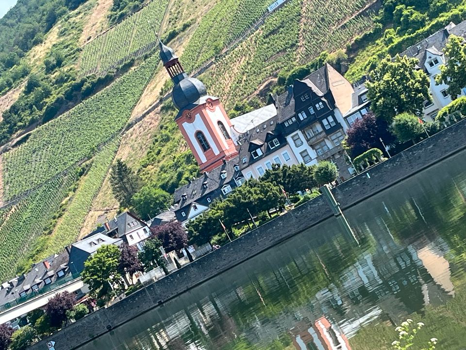 Last Minute Mosel Urlaub Zell Hund Wandern Radfahren in Zell (Mosel)