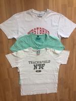 Herren T-Shirts Gr.M aus Baumwolle als Paket für 7€ zu verkaufen Hessen - Rodgau Vorschau