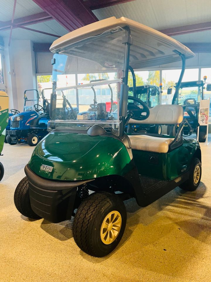 Cushman Hauler 800X Li-Ion Akku  Golfcart Golfwagen in Hamburg