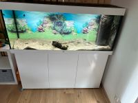 Juwel Rio 450 Liter Aquarium Unterschrank Kombination Bayern - Oberndorf am Lech Vorschau