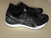 Asics GEL-CUMULUS Laufschuhe Größe 44 Chemnitz - Kaßberg Vorschau
