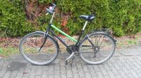 Peugeot Damenfahrrad Trekkingrad 28 zoll 21 Gänge Sachsen - Bad Dueben Vorschau