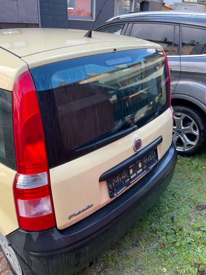 Fiat Panda 1,1 in Wuppertal