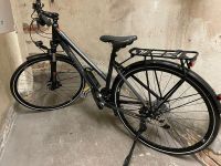 Unbenutztes Trekkingrad 28 Zoll Riverside 740 TR Damen Altona - Hamburg Othmarschen Vorschau