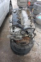 Motor Fiat Multipla 186 1.9JTD 81kw 186A6000 Dresden - Pieschen Vorschau