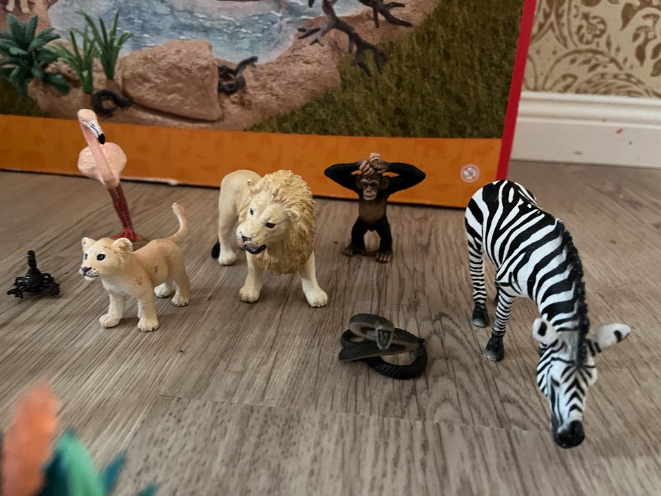 Schleich 42321 wild Life Wasserstelle, Safari, Tiere, Löwe, Zebra in Hamburg