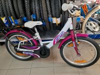 BBF Fips Wave 18" Kinderrad Fahrrad Kinder NEU Mecklenburg-Vorpommern - Ahrenshagen-Daskow Vorschau