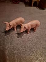 Schleich Ferkel Schwein Bauernhof Tiere Schleswig-Holstein - Lägerdorf Vorschau