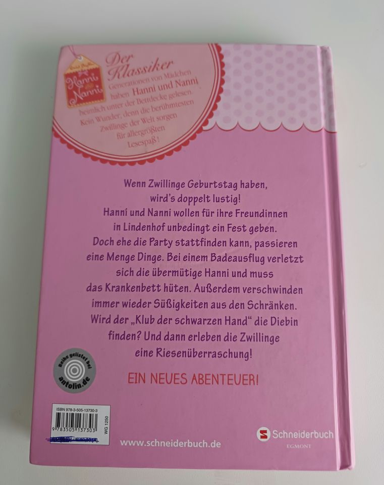 Hanni und Nanni feiern Geburtstag Buch für kleine Kinder in Rüsselsheim