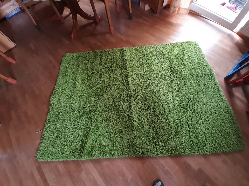 Teppich grün in Gundelfingen