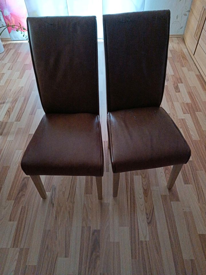 Eiche Stühle in Großenhain