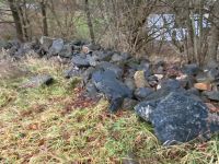 Natur Basalt Steine Rheinland-Pfalz - Stebach Vorschau