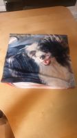 Kissenbezug Hund Motiv 100% Polyester samtig 40 x 40cm NEU Hamburg-Nord - Hamburg Eppendorf Vorschau