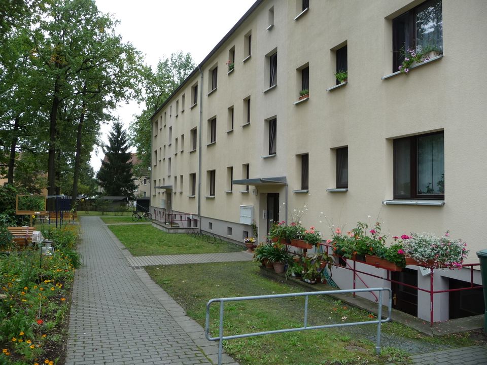 Sanierte 3-Raum Wohnung in ruhiger Lage am Waldrand in Königsbrück