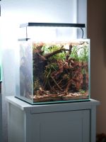 DOOA Aqua 30 Aquarium komplett + CO2 Hannover - Vahrenwald-List Vorschau