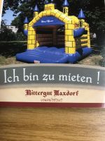 Hüpfburg Springburg Kinderspielzeug Party Sachsen-Anhalt - Osternienburger Land Vorschau