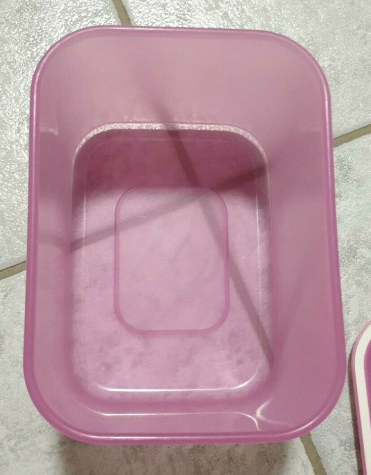 Tupperware Quadro pink lila 1,3 Liter in Heidenheim an der Brenz