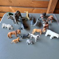 Schleich Elefant, Dinos, Tiger, Löwe etc. Mecklenburg-Vorpommern - Neuenkirchen bei Greifswald Vorschau