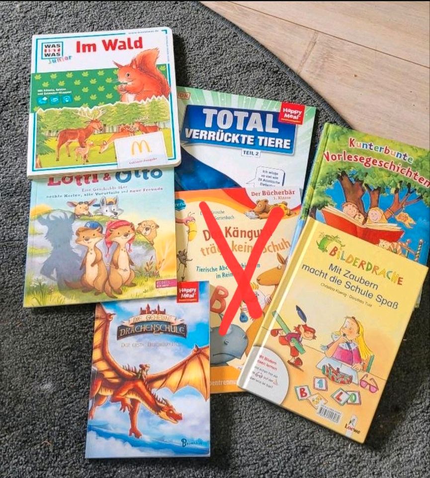 6 Kinderbücher Bücherbär, Bildermaus, Vorlesegeschichten in Jelmstorf