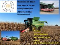 Maisdrusch, John Deere, Geringhoff, Körnermais Nordwestmecklenburg - Landkreis - Gadebusch Vorschau