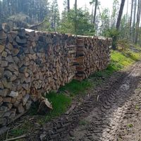Brennholz Fichte Thüringen - Schwallungen Vorschau