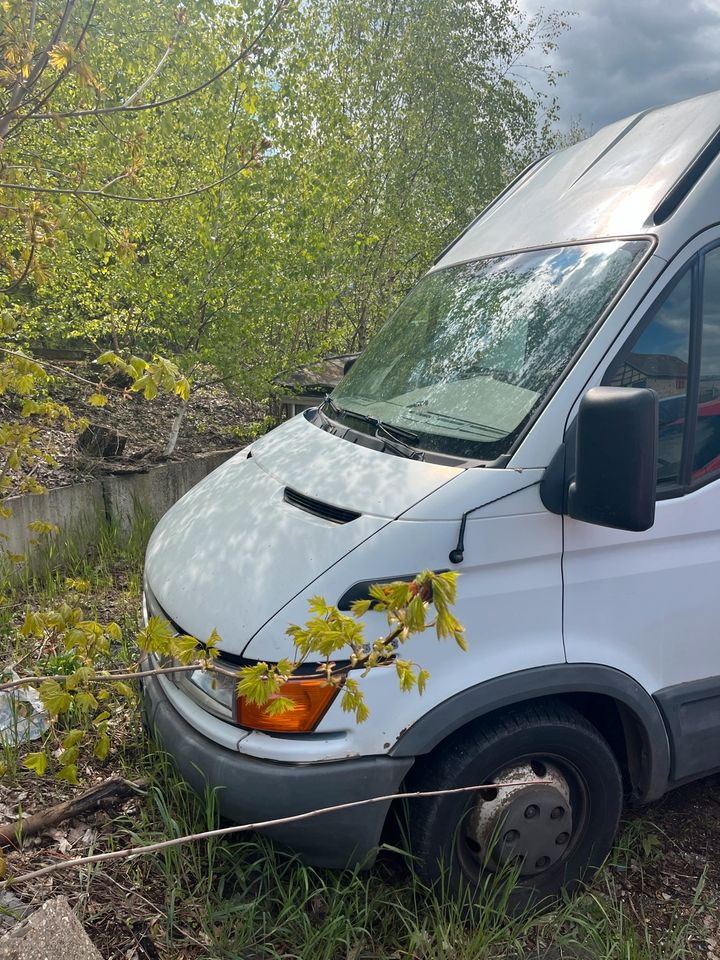 Iveco 35c15 in Hettstedt