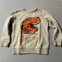 Pullover Dino Größe 116 Baden-Württemberg - Rheinfelden (Baden) Vorschau