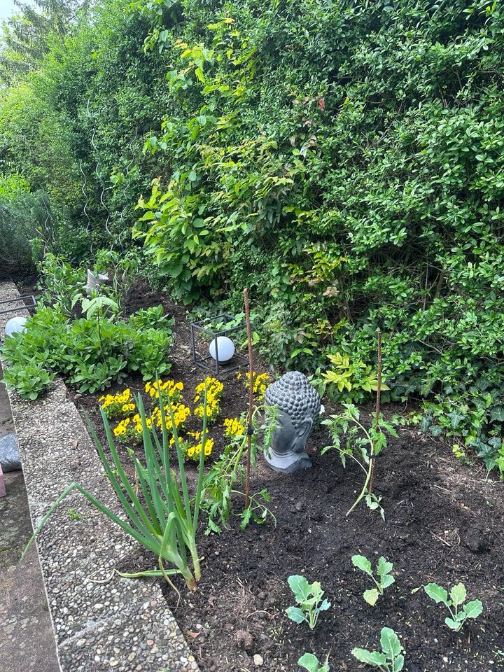 Hausmeisterservice Gartenarbeiten Handwerk Rhein-Main in Mainz