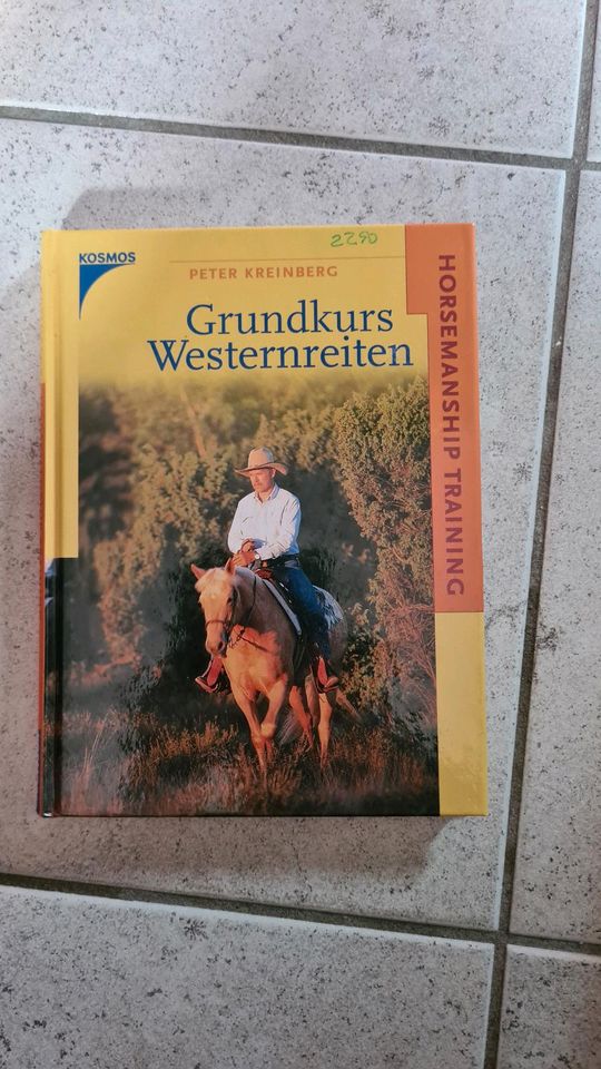 Grundkurs Westernreiten in Essen (Oldenburg)