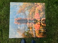 Dibond Bild Goldener Herbst Niedersachsen - Melle Vorschau