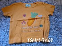 Baby T-Shirt Gr. 68 orange Nordrhein-Westfalen - Dorsten Vorschau