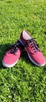 Vans authentic Größe 40,5 Sachsen-Anhalt - Klötze Vorschau