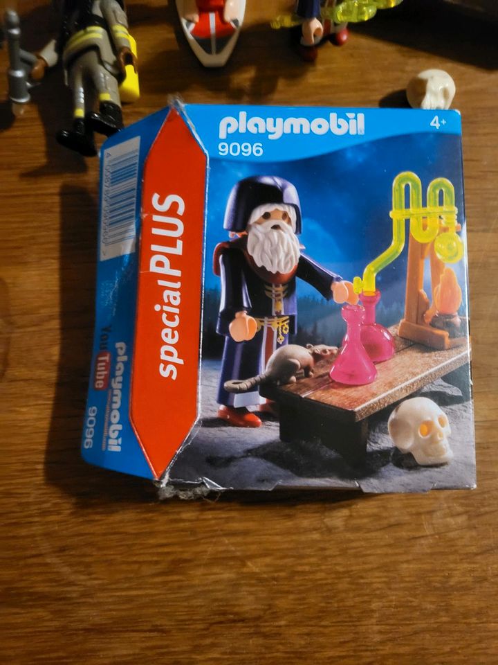 Playmobil Sets in Bliestorf