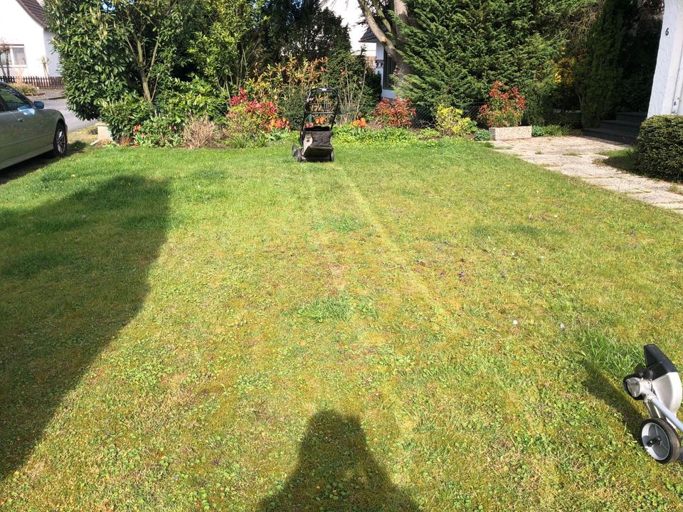 Gartenarbeit Vertikutieren Rasenpflege in Rheda-Wiedenbrück