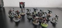 Grishnak + 18x Orks & Goblin Modelle Herr der Ringe Tabletop Baden-Württemberg - Lauchheim Vorschau