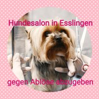 Nachfolger für Hundesalon gesucht Baden-Württemberg - Ostfildern Vorschau