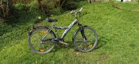 Pegasus Mountainbike 26 Zoll Kiel - Russee-Hammer Vorschau