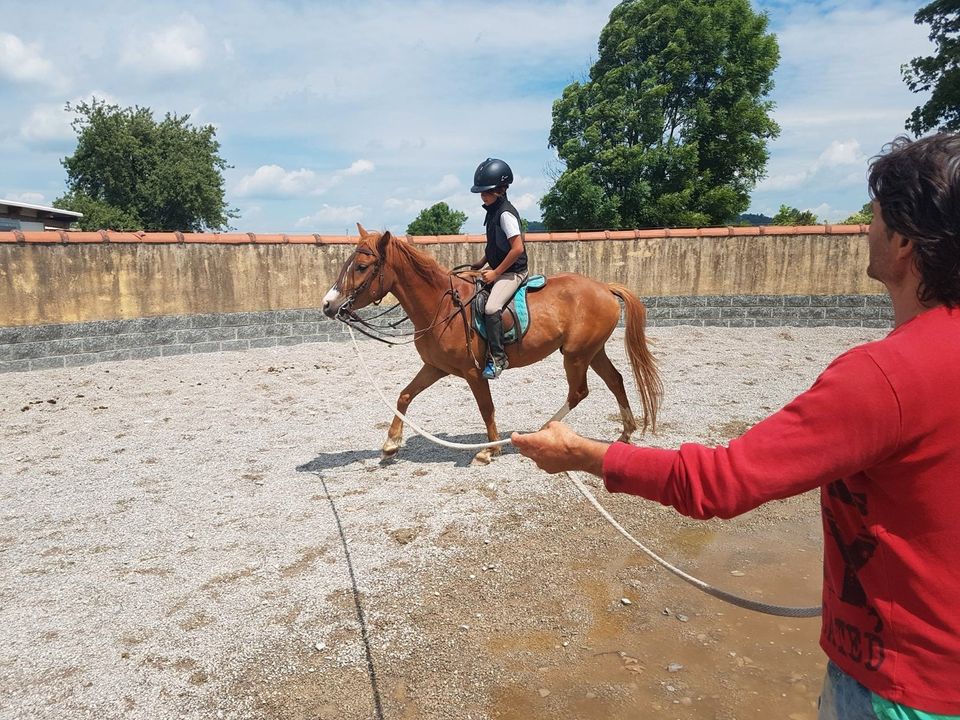 Qualifizierter Reitunterricht in Leutkirch im Allgäu