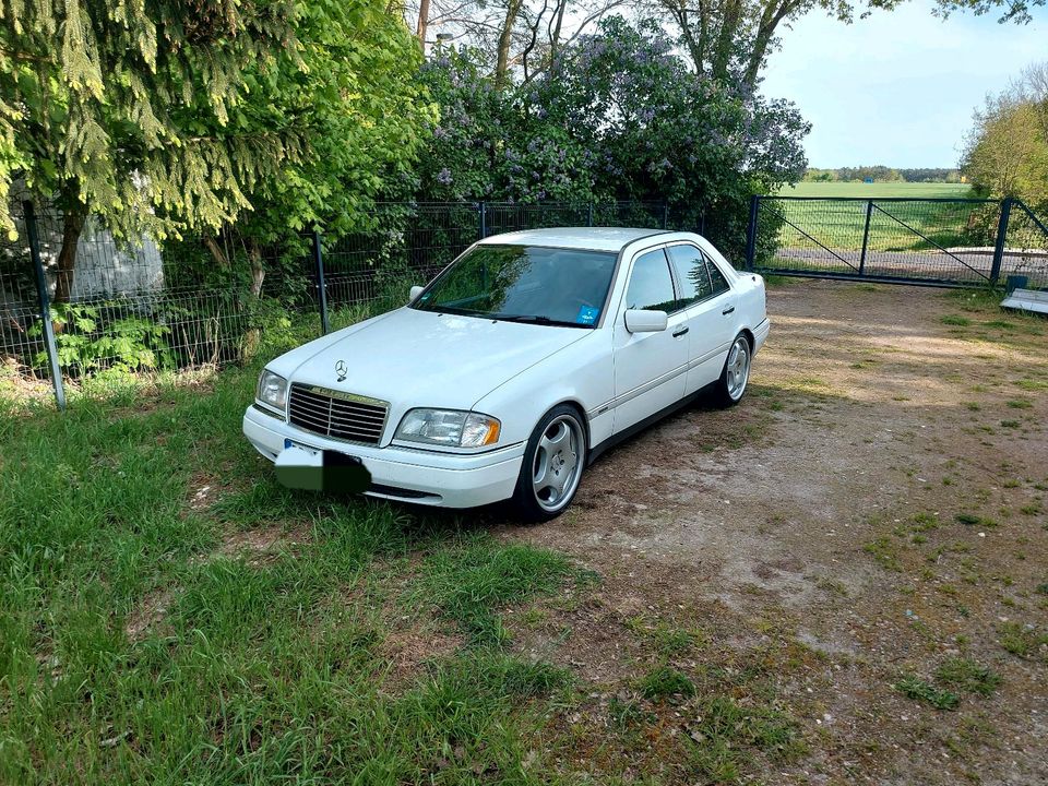 Mercedes Benz C klasse W202 c180 in Potsdam