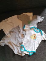 Baby Bodies Größe 62/68 Body 5 Stück Kurzarm kurze Arme Nordrhein-Westfalen - Schermbeck Vorschau