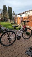 Damenfahrrad 28 Zoll Kalkhoff Sachsen - Meerane Vorschau